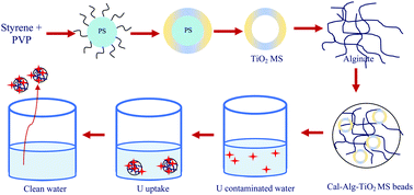 Graphical abstract: TiO2 microsphere impregnated alginate: a novel hybrid sorbent for uranium removal from aquatic bodies