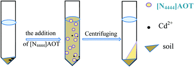 Graphical abstract: The application of ultrasonic treatment and a bis(2-ethylhexyl)sulfosuccinate-based novel ionic liquid for cadmium extraction