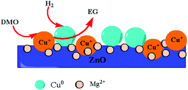 Graphical abstract: Effect of Cu loading on the structural evolution and catalytic activity of Cu–Mg/ZnO catalysts for dimethyl oxalate hydrogenation