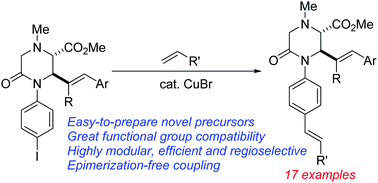 Graphical abstract: Copper-catalyzed alkenylation of novel N-iodoarylated allylic ketopiperazinonates with unactivated alkenes