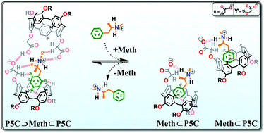 Graphical abstract: Molecular recognition of methamphetamine by carboxylatopillar[5]arene: drug-dependent complexation stoichiometry and insights into medical applications