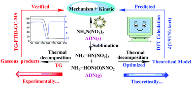 Graphical abstract: A combined experimental and theoretical study of the thermal decomposition mechanism and kinetics of ammonium dinitramide (ADN)