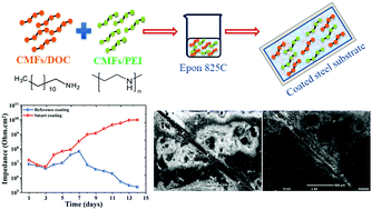 Graphical abstract: Cellulose microfibers (CMFs) as a smart carrier for autonomous self-healing in epoxy coatings