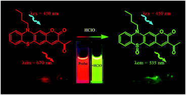 Graphical abstract: Ratiometric fluorescent probe with aggregation-induced emission features for monitoring HClO in living cells and zebra fish