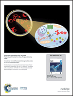Graphical abstract: Back cover