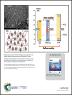 Graphical abstract: Back cover