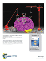 Graphical abstract: Back cover