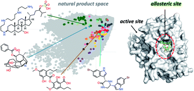 Graphical abstract: Natural allosteric modulators and their biological targets: molecular signatures and mechanisms