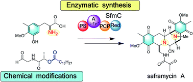 Graphical abstract: Total synthesis of alkaloids using both chemical and biochemical methods
