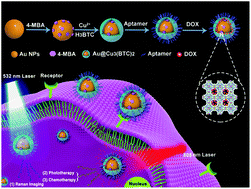 Graphical abstract: Design of Raman tag-bridged core–shell Au@Cu3(BTC)2 nanoparticles for Raman imaging and synergistic chemo-photothermal therapy