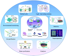 Graphical abstract: Hierarchical nanomaterials via biomolecular self-assembly and bioinspiration for energy and environmental applications