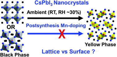 Graphical abstract: Postsynthesis Mn-doping in CsPbI3 nanocrystals to stabilize the black perovskite phase