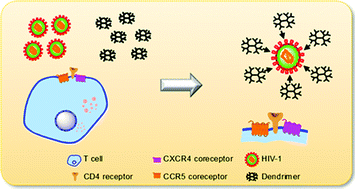 Graphical abstract: New anionic poly(alkylideneamine) dendrimers as microbicide agents against HIV-1 infection