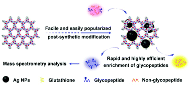 Graphical abstract: A facilely synthesized glutathione-functionalized silver nanoparticle-grafted covalent organic framework for rapid and highly efficient enrichment of N-linked glycopeptides