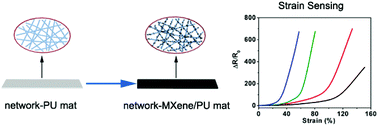 Graphical abstract: A highly flexible and multifunctional strain sensor based on a network-structured MXene/polyurethane mat with ultra-high sensitivity and a broad sensing range