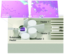 Graphical abstract: Real time optical observation and control of atomically thin transition metal dichalcogenide synthesis