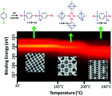 Graphical abstract: An unexpected organometallic intermediate in surface-confined Ullmann coupling