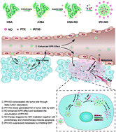 Graphical abstract: A switchable NO-releasing nanomedicine for enhanced cancer therapy and inhibition of metastasis