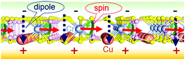 Graphical abstract: Two-dimensional ferromagnetism and driven ferroelectricity in van der Waals CuCrP2S6