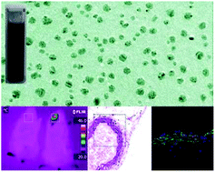 Graphical abstract: CuCo2S4 nanocrystals as a nanoplatform for photothermal therapy of arterial inflammation