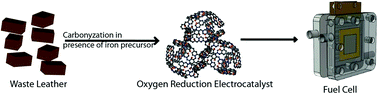 Graphical abstract: A 3-D nanoribbon-like Pt-free oxygen reduction reaction electrocatalyst derived from waste leather for anion exchange membrane fuel cells and zinc-air batteries