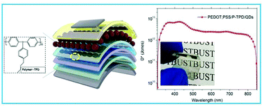 Graphical abstract: Enhanced-performance of self-powered flexible quantum dot photodetectors by a double hole transport layer structure