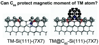 Graphical abstract: The shielding effects of a C60 cage on the magnetic moments of transition metal atoms inside the corner holes of Si(111)-(7 × 7)