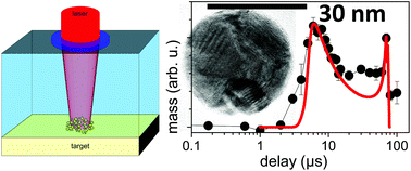 Graphical abstract: Early appearance of crystalline nanoparticles in pulsed laser ablation in liquids dynamics