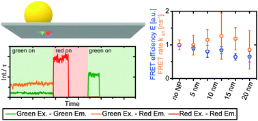 Graphical abstract: Plasmon-assisted Förster resonance energy transfer at the single-molecule level in the moderate quenching regime