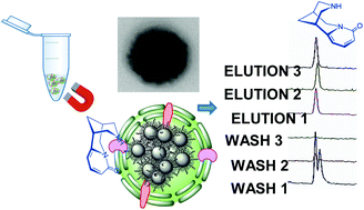 Graphical abstract: Cell-membrane coated iron oxide nanoparticles for isolation and specific identification of drug leads from complex matrices