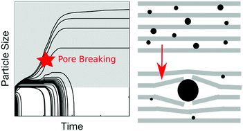 Graphical abstract: Ostwald ripening of confined nanoparticles: chemomechanical coupling in nanopores