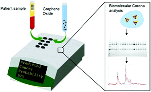 Graphical abstract: Converting the personalized biomolecular corona of graphene oxide nanoflakes into a high-throughput diagnostic test for early cancer detection