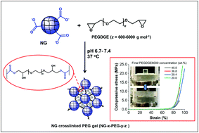 Graphical abstract: Highly compressive and stretchable poly(ethylene glycol) based hydrogels synthesised using pH-responsive nanogels without free-radical chemistry