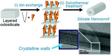 Graphical abstract: Formation of silicate nanoscrolls through solvothermal treatment of layered octosilicate intercalated with organoammonium ions