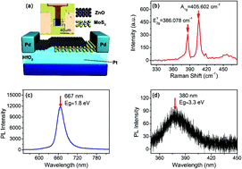 Graphical abstract: Laser-reconfigured MoS2/ZnO van der Waals synapse