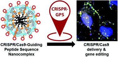 Graphical abstract: Non-viral delivery of CRISPR/Cas9 complex using CRISPR-GPS nanocomplexes