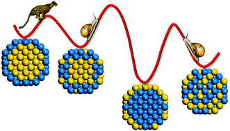 Graphical abstract: Adaptive kinetic Monte Carlo simulations of surface segregation in PdAu nanoparticles