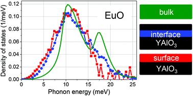 Graphical abstract: Phonon confinement and spin-phonon coupling in tensile-strained ultrathin EuO films