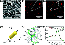 Graphical abstract: Correlation between the translational and rotational diffusion of rod-shaped nanocargo on a lipid membrane revealed by single-particle tracking
