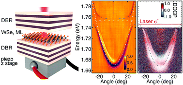 Graphical abstract: Valley polarization of exciton–polaritons in monolayer WSe2 in a tunable microcavity