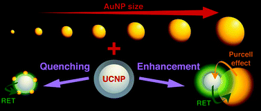 Graphical abstract: Control of upconversion luminescence by gold nanoparticle size: from quenching to enhancement