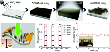 Graphical abstract: Photonic crystallization of two-dimensional MoS2 for stretchable photodetectors