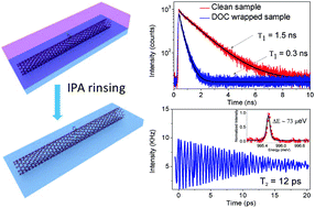 Graphical abstract: Intrinsic limits of defect-state photoluminescence dynamics in functionalized carbon nanotubes