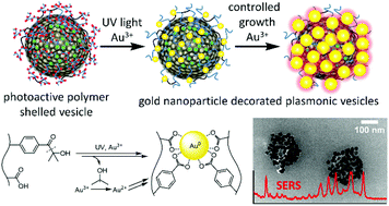 Graphical abstract: Photochemical preparation of gold nanoparticle decorated cyclodextrin vesicles with tailored plasmonic properties