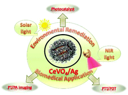 Graphical abstract: Self-assembled CeVO4/Ag nanohybrid as photoconversion agents with enhanced solar-driven photocatalysis and NIR-responsive photothermal/photodynamic synergistic therapy performance