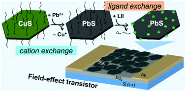 Graphical abstract: Colloidal PbS nanoplatelets synthesized via cation exchange for electronic applications