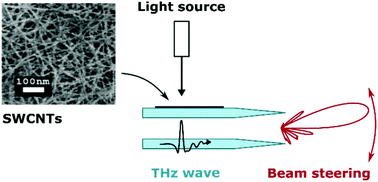 Graphical abstract: Single-walled carbon nanotube layers for millimeter-wave beam steering
