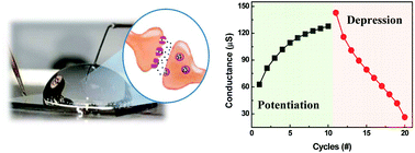 Graphical abstract: Liquid-based memory and artificial synapse