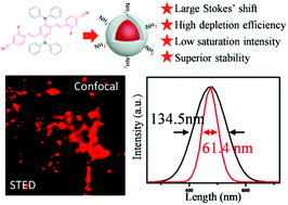 Graphical abstract: Organic nanoparticles with ultrahigh stimulated emission depletion efficiency for low-power STED nanoscopy