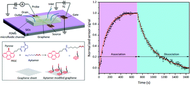 Graphical abstract: Measurements of aptamer–protein binding kinetics using graphene field-effect transistors